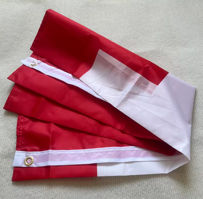 Schweizer Flagge 90 x 150 cm - Wetterfeste Schweiz Fahne aus Premium-Polyester mit Ösen - Grosse Nationalflagge für Aussen & Innen