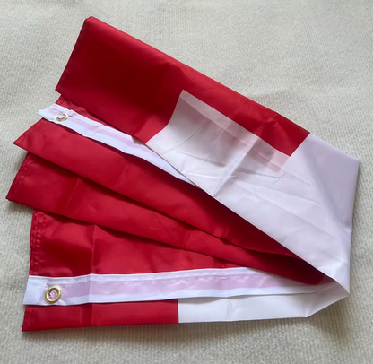 Schweizer Flagge 90 x 150 cm - Wetterfeste Schweiz Fahne aus Premium-Polyester mit Ösen - Grosse Nationalflagge für Aussen & Innen