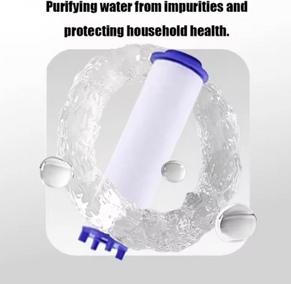 Shower head additional/replacement filter