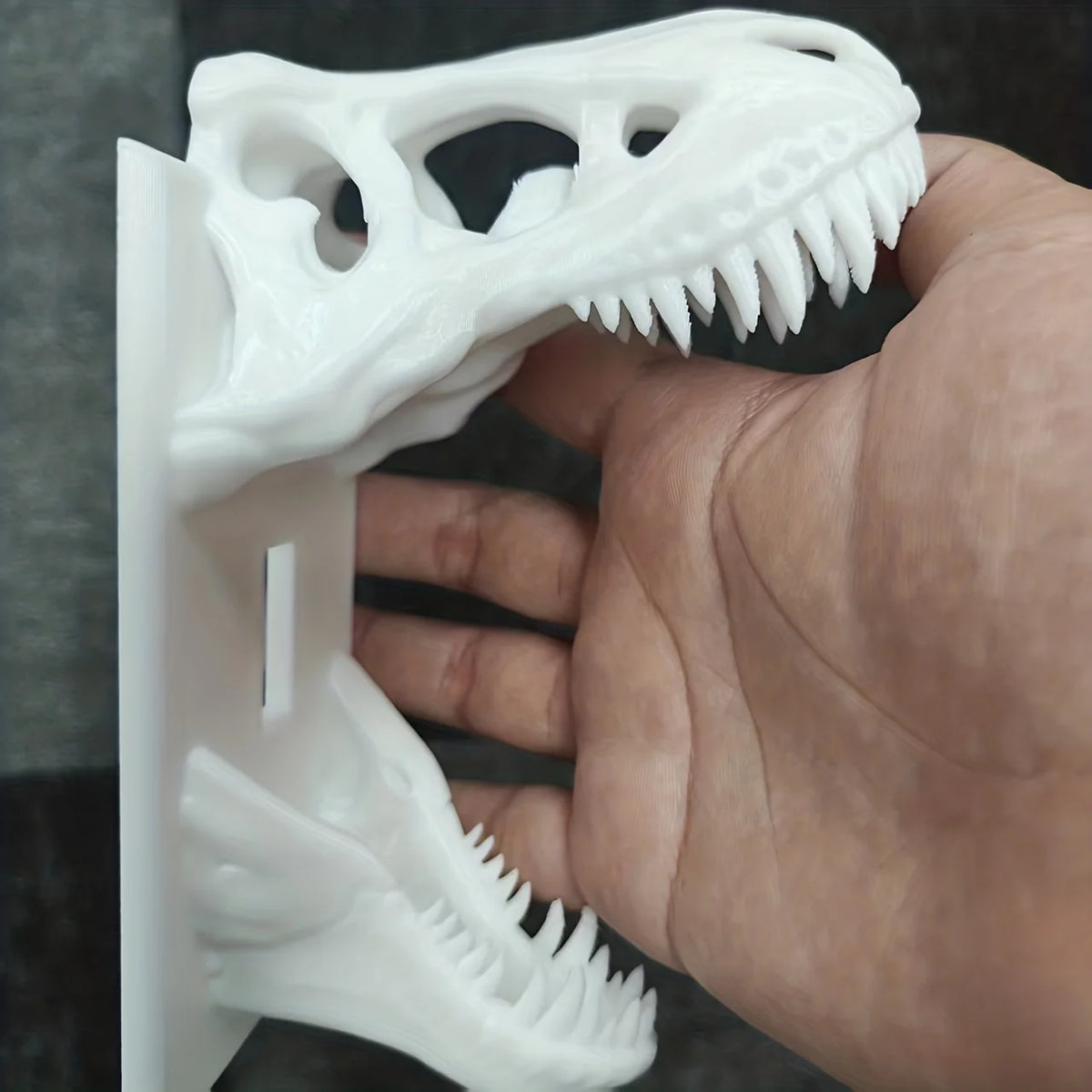 Dinosaurier Dekor | T-Rex Schädel Schalterabdeckung mit 3D-Design | Einzigartiges Wohnaccessoire für Dinosaurier-Fans 8