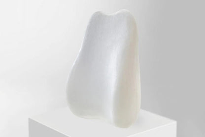 Ergonomisches Lenden- und Sitzkissen-Set mit Memory-Schaum für Rückenstütze 6