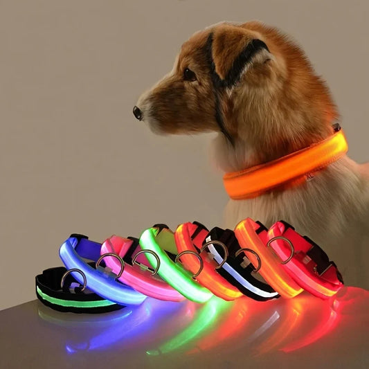 Leuchtendes Hundehalsband | LED-Hundehalsband mit Blinklicht | Sichtbarkeit für sichere Nachtspaziergänge 1