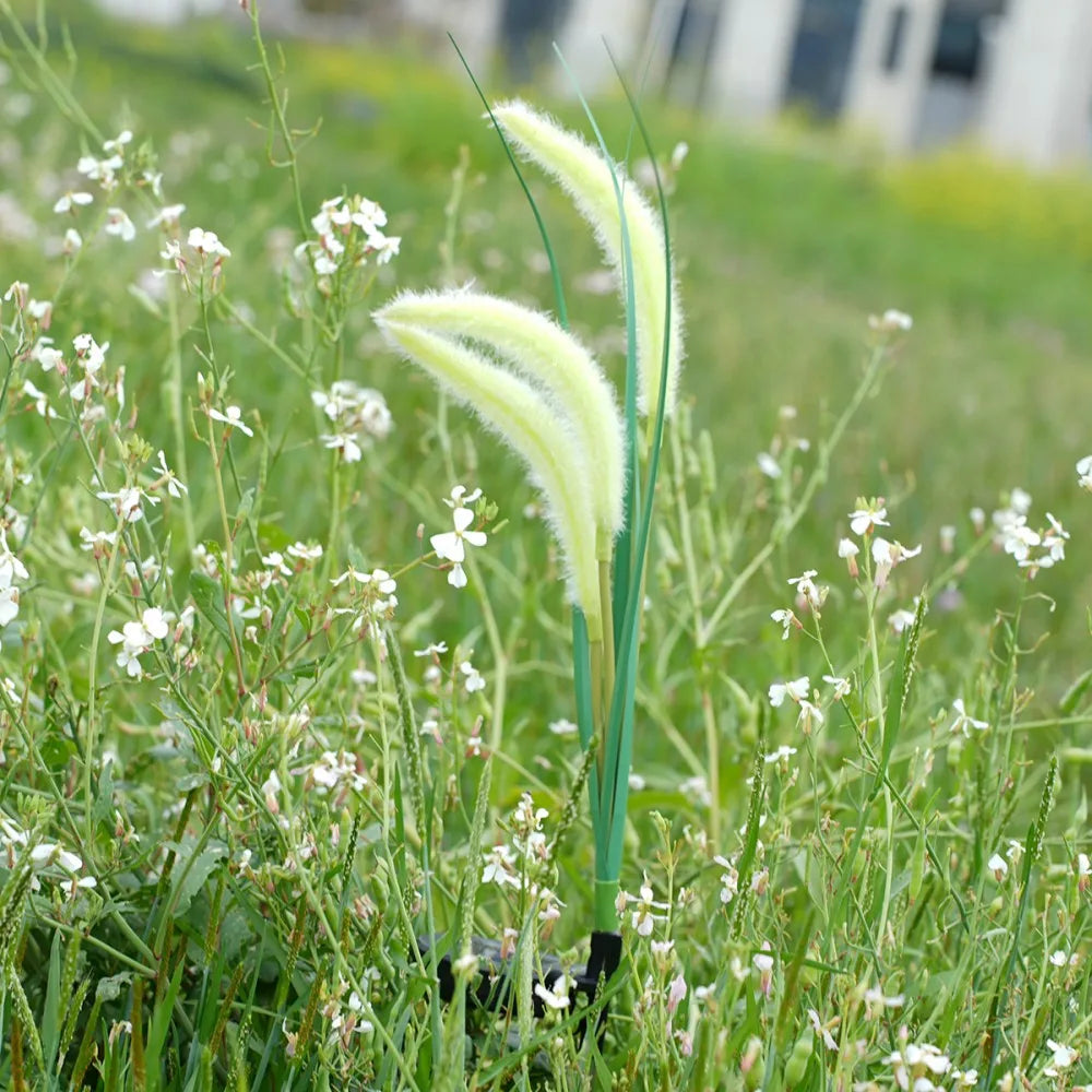 Magische Solar-Fuchsschwanzleuchten | Solarbetriebene Gartenbeleuchtung für Stimmungsvolles Licht 5