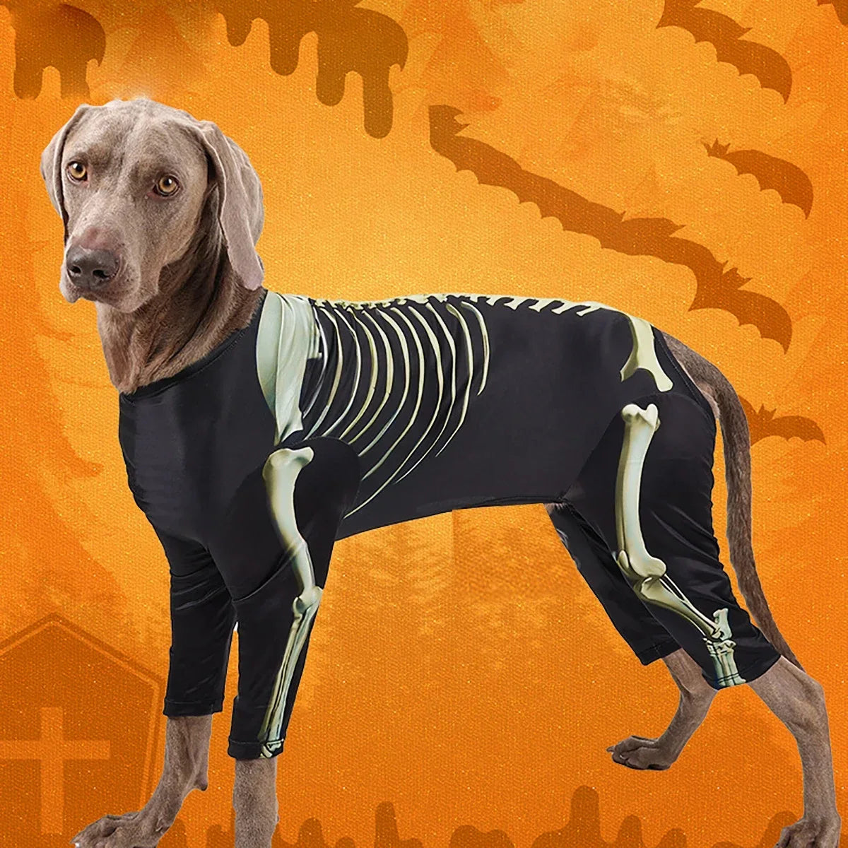 Skelett-Kostüm für Hunde | Gruseliges Design mit Freiem Blick für Halloween-Spaß 1