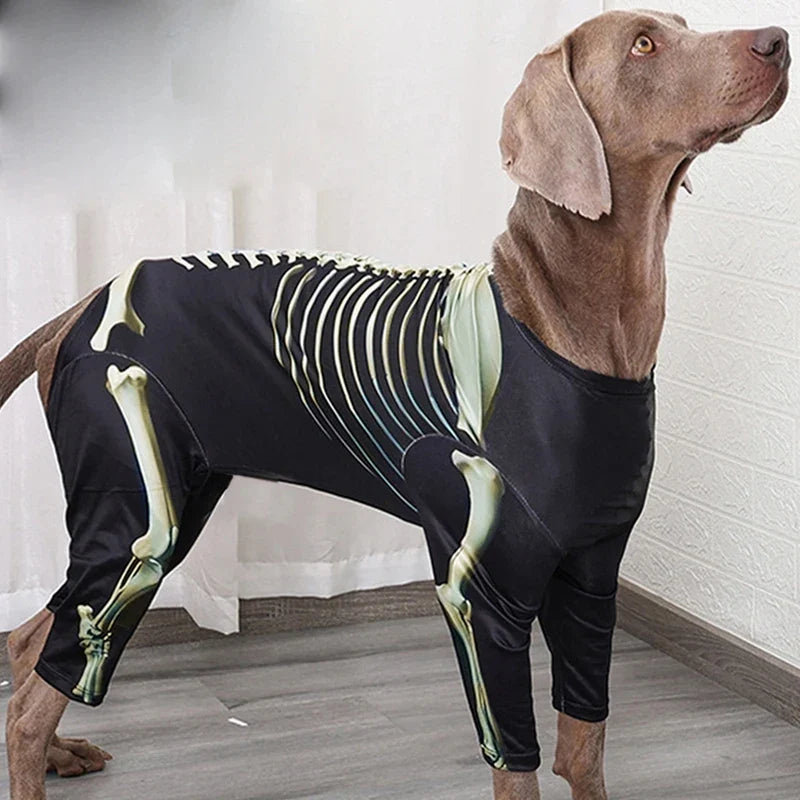 Skelett-Kostüm für Hunde | Gruseliges Design mit Freiem Blick für Halloween-Spaß 4