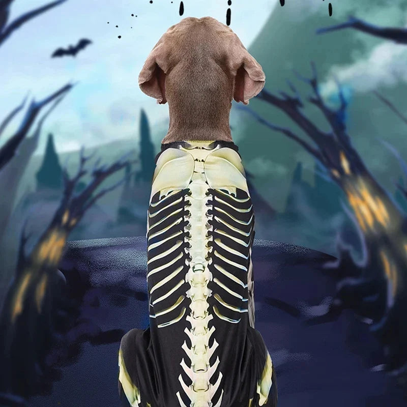 Skelett-Kostüm für Hunde | Gruseliges Design mit Freiem Blick für Halloween-Spaß 5