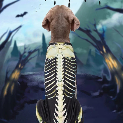 Skelett-Kostüm für Hunde | Gruseliges Design mit Freiem Blick für Halloween-Spaß 5