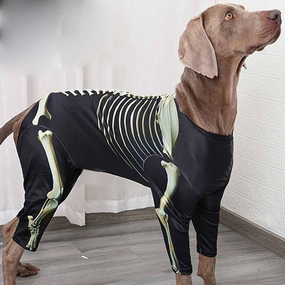 Skelett-Kostüm für Hunde | Gruseliges Design mit Freiem Blick für Halloween-Spaß 6
