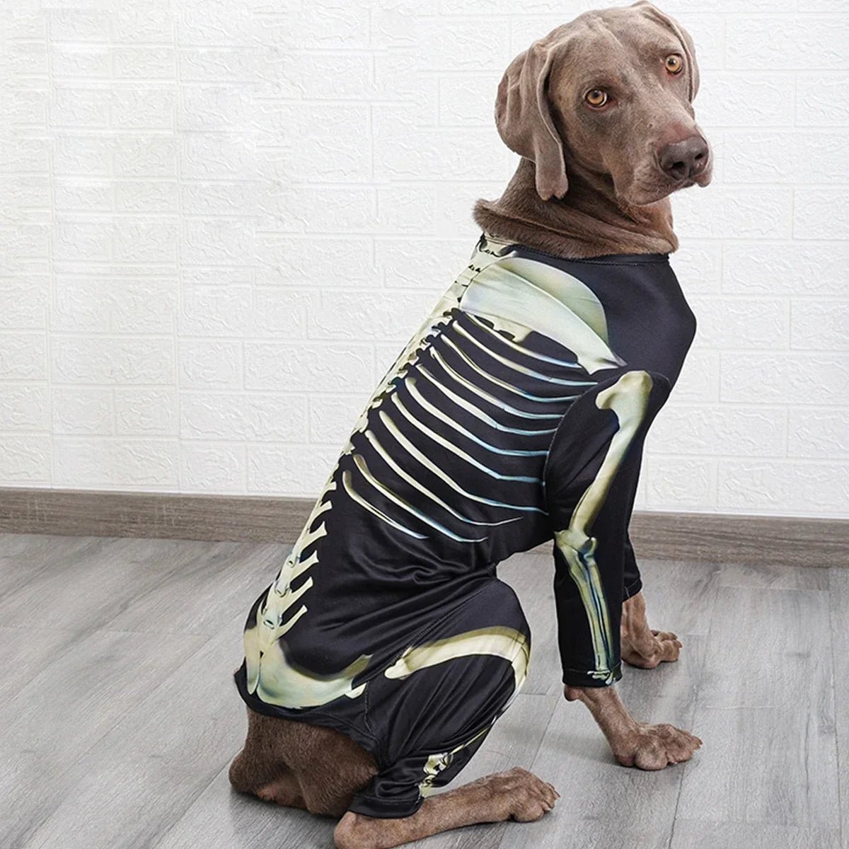 Skelett-Kostüm für Hunde | Gruseliges Design mit Freiem Blick für Halloween-Spaß 7
